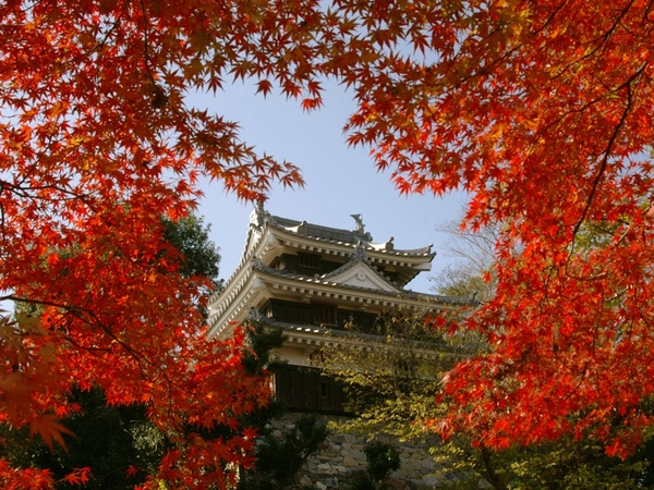 西尾城と旧近衛邸（西尾市歴史公園）