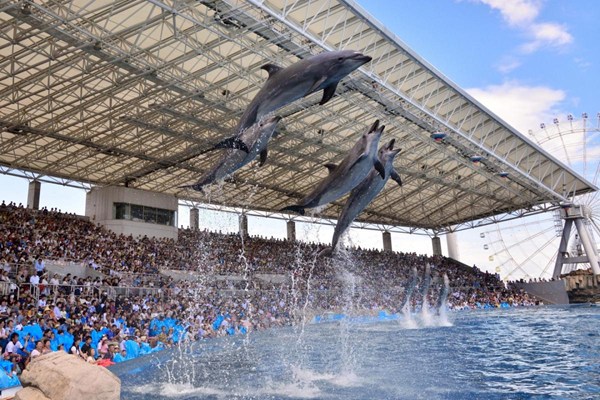 名古屋港水族館