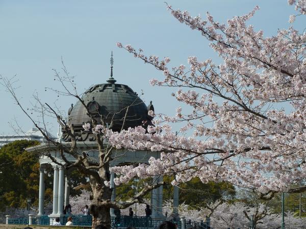 鶴舞公園　花卉節