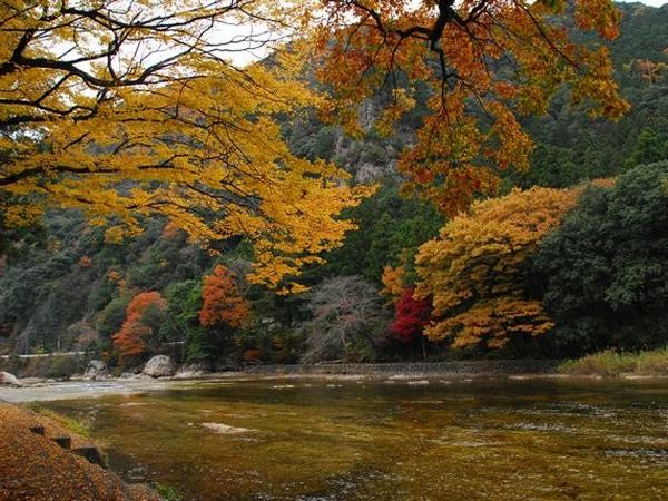 凤来峡・板敷川