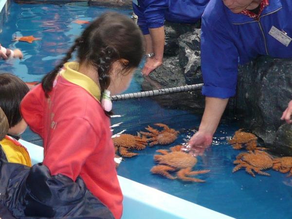 竹岛水族馆
