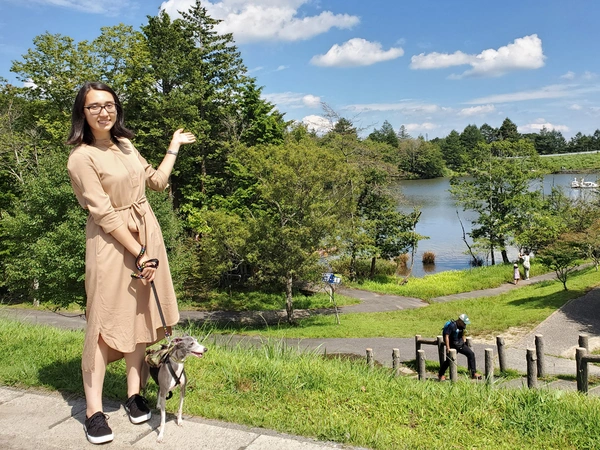 茶臼山高原