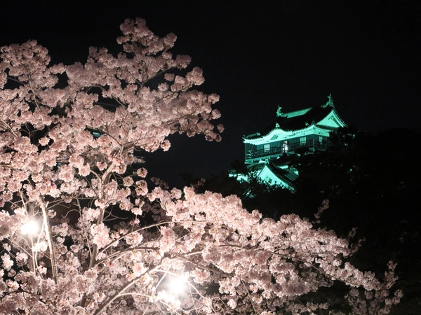 岡崎の桜まつり