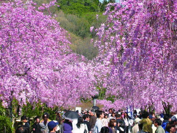 東谷山フルーツパーク