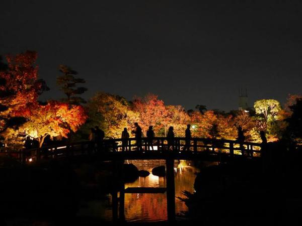 白鸟庭园　观枫会