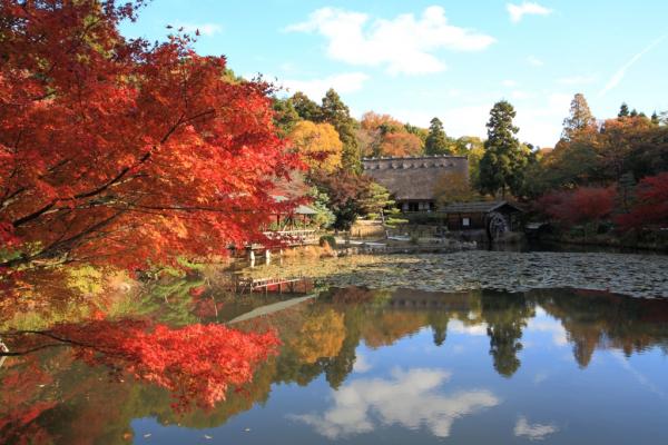 东山动植物园　赏红叶