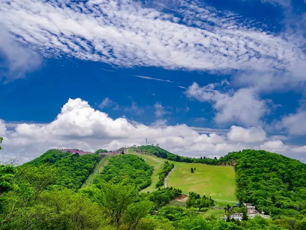 茶臼山高原