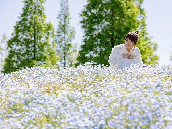 三ツ又池公園 芝桜・ネモフィラ