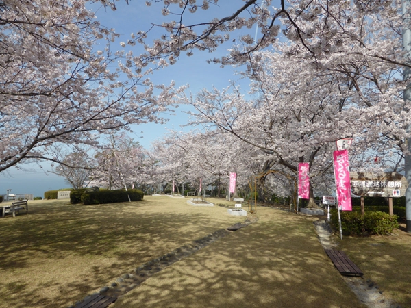西浦温泉 桜まつり