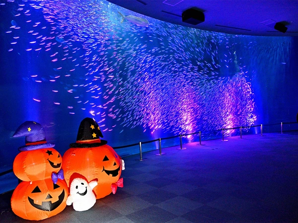 ハロウィンアクアリウム