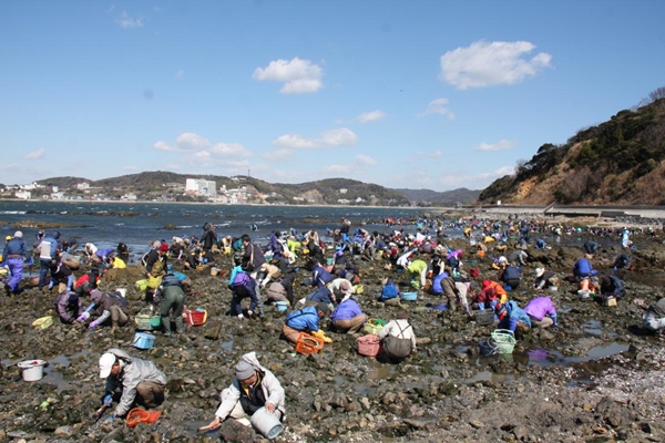 梶島潮干狩り