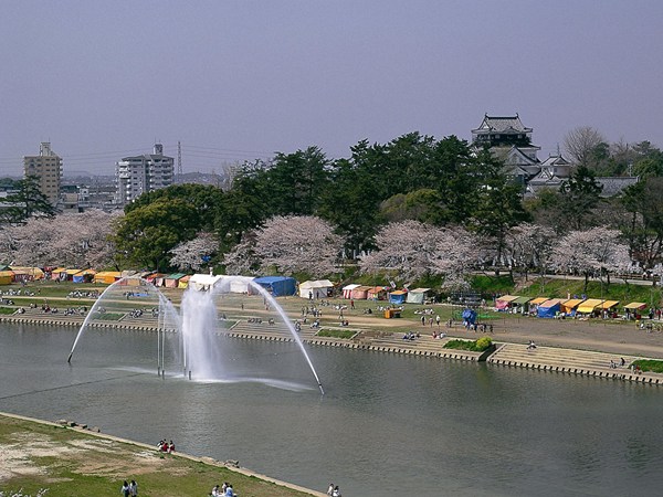 岡崎城下賞花泛舟