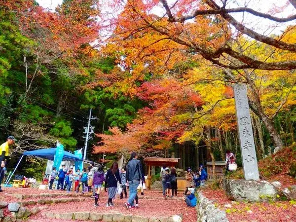 鳳來寺山紅葉節