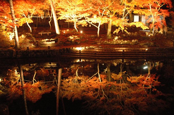 Iwayado Park &amp; Jokoji Temple Autumn Leaves Festival
