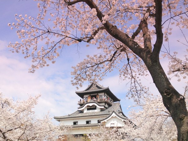 國寶 犬山城