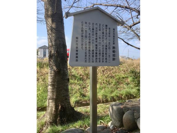 勝幡城跡(織田信長、生誕の地)・幼少期の信長像