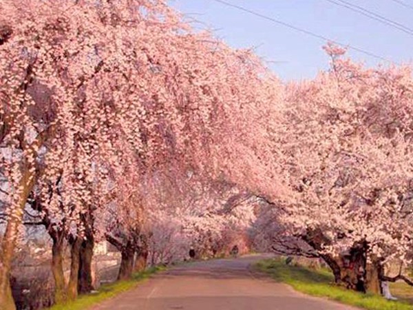 木曽川堤