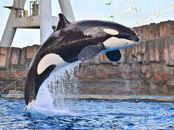 名古屋港水族館