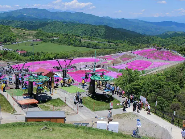 茶臼山高原