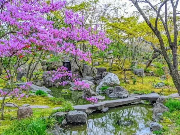 日本庭園 有樂苑