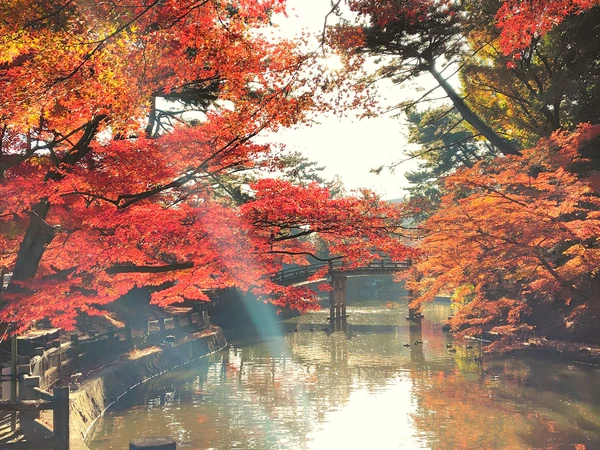 東公園紅葉まつり