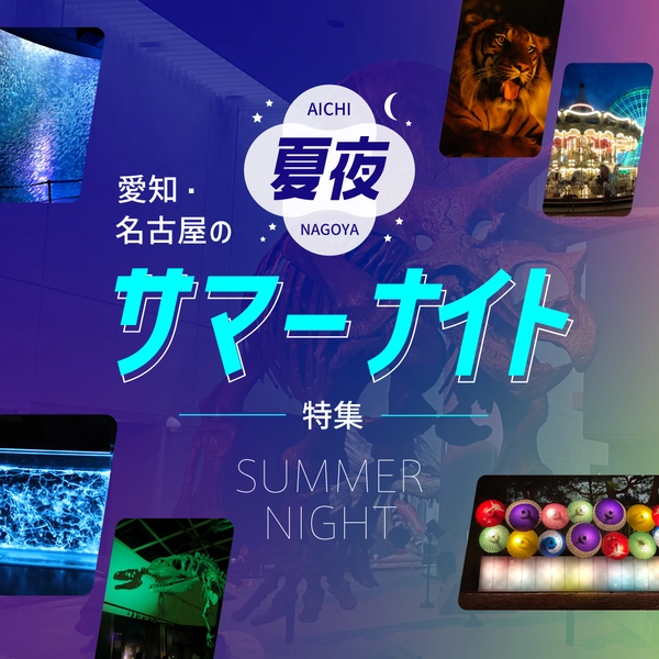 名古屋・愛知のサマーナイト特集