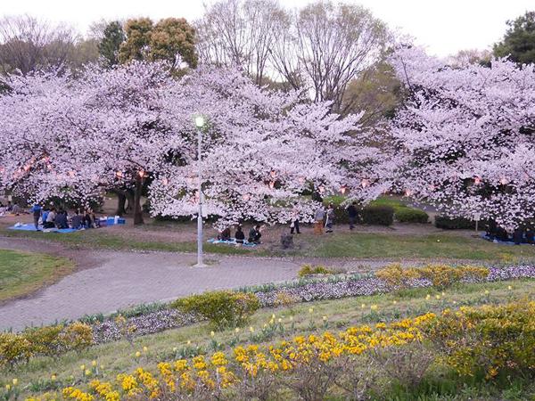 名城公园