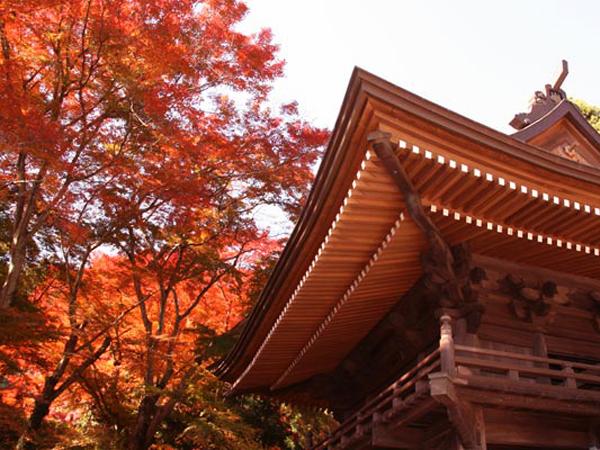 普门寺红叶节