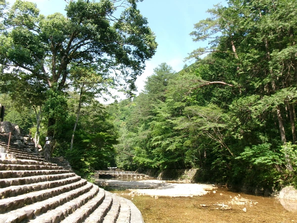 愛知県民の森