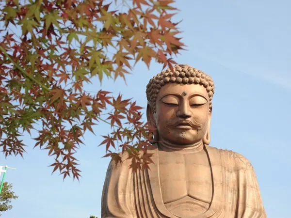 聚楽園公園　もみじまつり