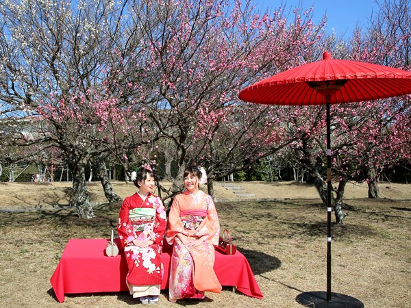 春日祭・梅花節　向山綠地內梅林園