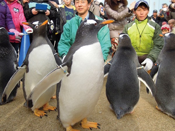 名古屋港水族館