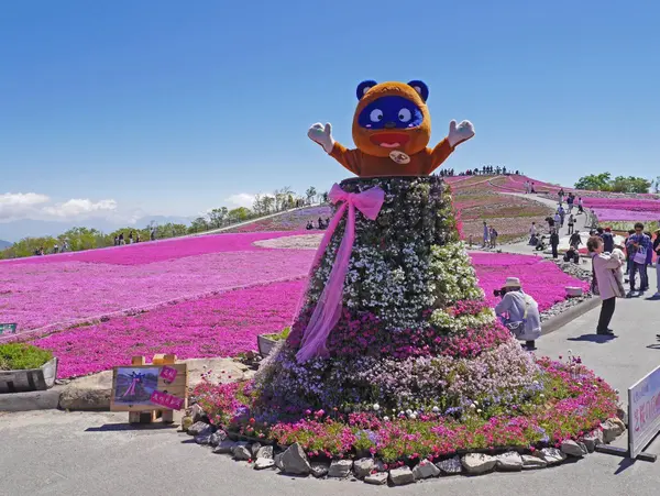 茶臼山高原 芝桜まつりを楽しもう♪