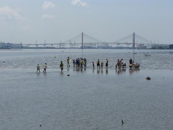 藤前海涂