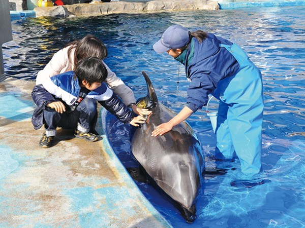 Port of Nagoya Public Aquarium