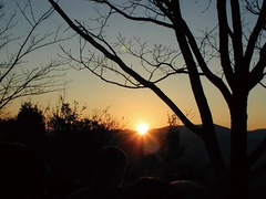 鳳来寺山・鳳来寺