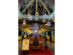 Kariya Street Light Display