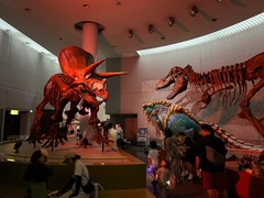 のんほいパーク　ナイトZOO