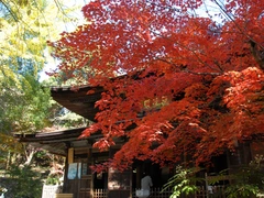 定光寺　定光寺公園