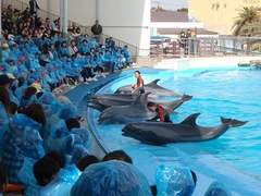 南知多ビーチランド&amp;南知多おもちゃ王国