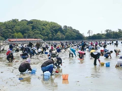 東はず海岸・前島