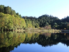 段戸裏谷原生林(きららの森)