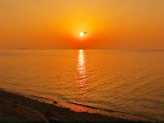 西浦温泉パームビーチ