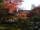 紅葉のおもてなし　もみじまつり
