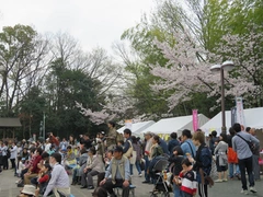 尾張旭・城山公園さくらまつり