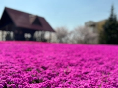 ミササガパーク（猿渡公園）ミササガ市からの寄贈