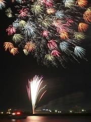 とこなめ花火大会