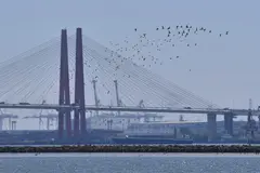 名古屋市野鳥観察館