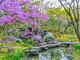 有楽苑(国宝茶室如庵)