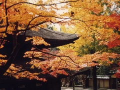 定光寺　定光寺公園